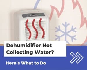 Dehumidifier Not Collecting Water