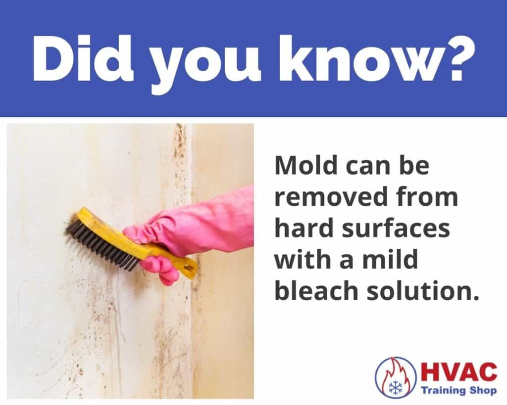 Mold can be removed from hard surfaces with a mild bleach solution