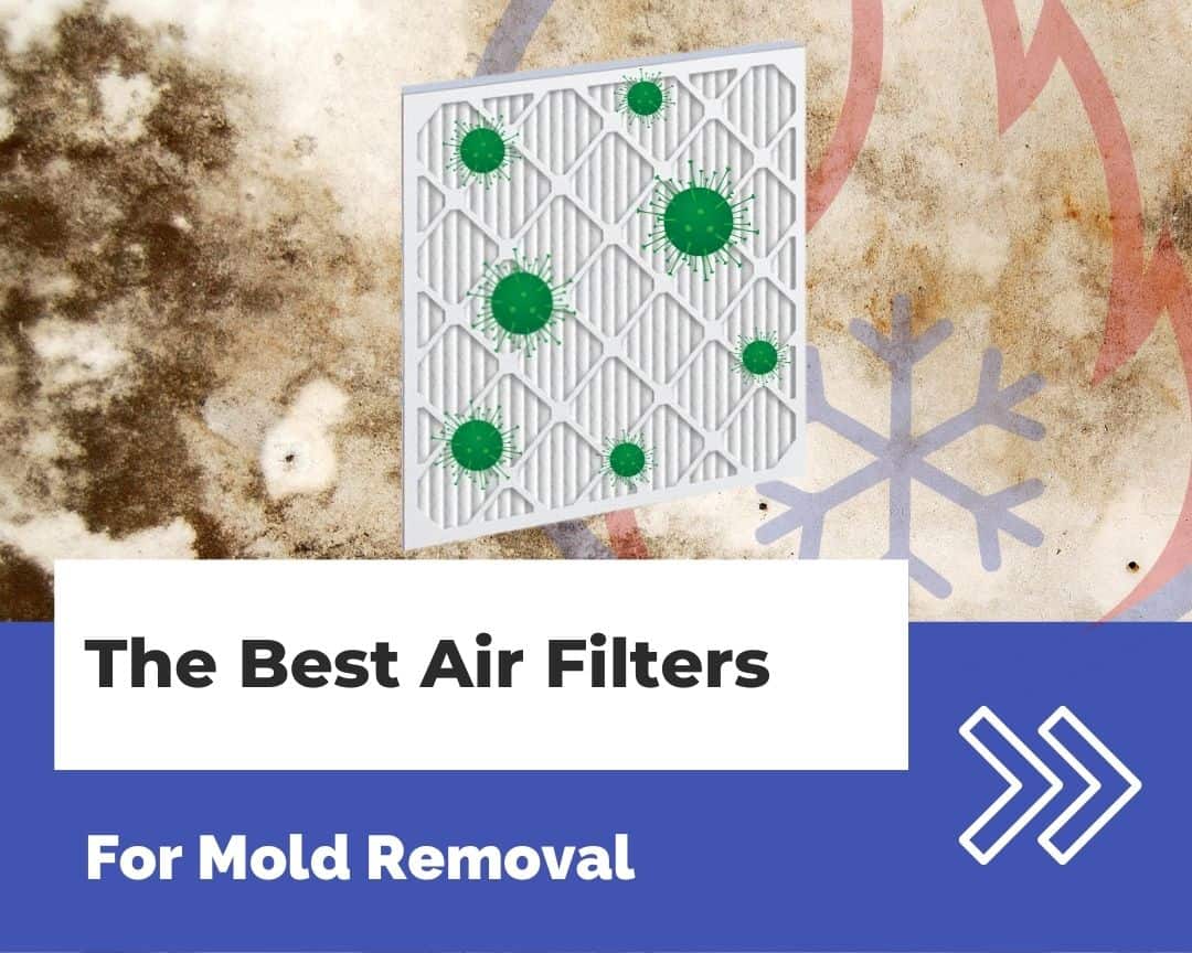 The Best Air Filters for Mold Removal