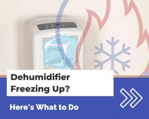 Dehumidifier Freezing Up Here’s What to Do