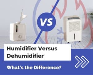 Humidifier Versus Dehumidifier What's the Difference