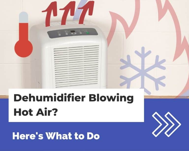 Dehumidifier Blowing Hot Air